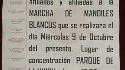 marcha de mandiles blancos convocada por Sirmes en Oruro