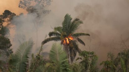 Hora del Planeta 2021 y su impacto en la naturaleza