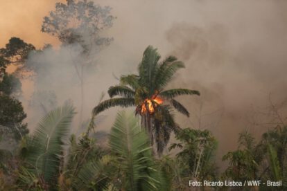 Hora del Planeta 2021 y su impacto en la naturaleza