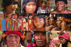 Protección de comunidades indígenas durante la pandemia