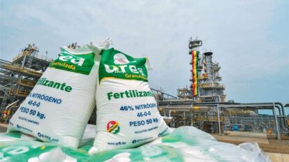 Evaluación de daños en la planta de urea