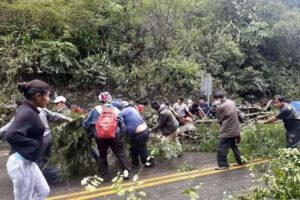 Desbloqueo de Yolosita y arresto de cocaleros