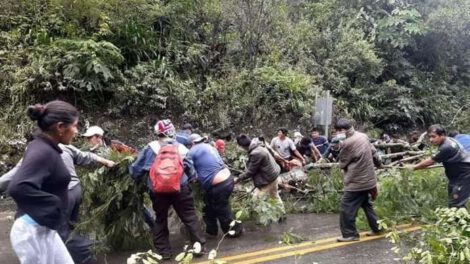 Desbloqueo de Yolosita y arresto de cocaleros