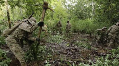Producción de coca en Bolivia certificada ante la ONU