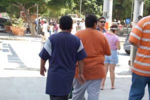 Obesidad en estudiantes de Bolivia