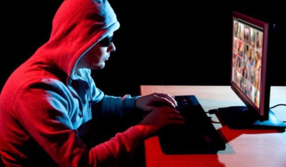337 personas arrestadas en el mundo por una red de pornografía infantil
