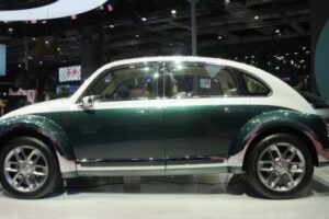Punk Cat, la reencarnación del Volkswagen Beetle