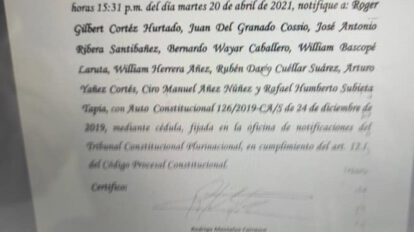 Repostulación indefinida y rechazo de nulidad por el TCP
