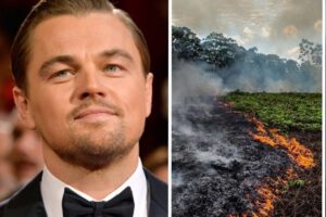 Leonardo DiCaprio se pronuncia por los daños causados a la fauna de la Chiquitanía