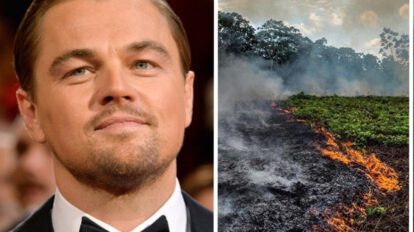 Leonardo DiCaprio se pronuncia por los daños causados a la fauna de la Chiquitanía