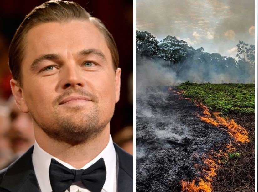 Leonardo DiCaprio se pronuncia por los daños causados a la fauna de la Chiquitanía