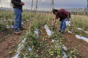Alerta naranja en Cochabamba por lluvias y crecida de ríos