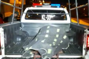 Feminicidios en Bolivia: levantamiento legal del cadáver de la mujer de 70 años