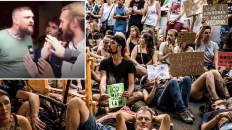 Hombre hambriento se enfrenta a veganos en McDonald's