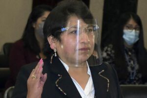 Dina Chuquimia considera que no hubo fraude en 2019
