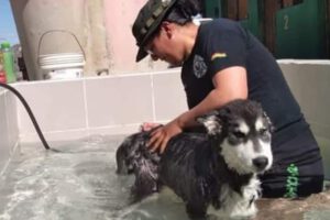 Agresor de Chato recibe tres años de prisión