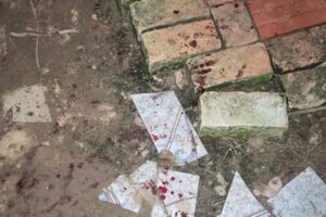 Asesinato en Santa Rosa