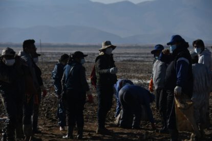 Limpieza del lago Uru Uru con participación de comerciantes y vecinos