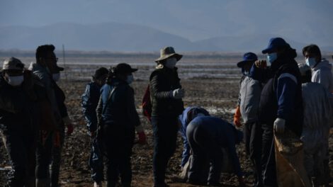 Limpieza del lago Uru Uru con participación de comerciantes y vecinos