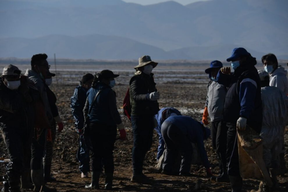Limpieza del lago Uru Uru con participación de comerciantes y vecinos