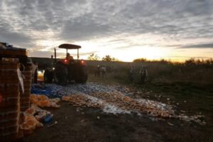 Cerveza de contrabando destruida por la Aduana Nacional