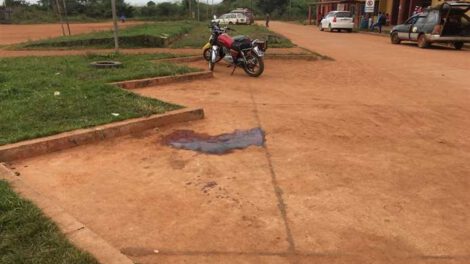 Asesinato en San Ignacio de Velasco