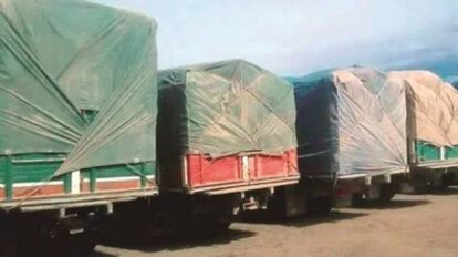 Aduana comisa camiones de soya con documentación falsa del Iniaf