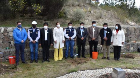 Sembrar plantines en viviendas sociales en Bolivia