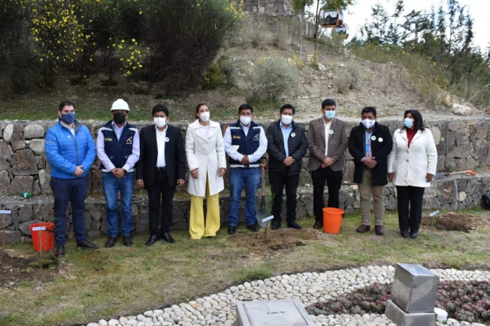 Sembrar plantines en viviendas sociales en Bolivia