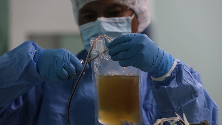 Suero anticovid con plasma de burros en Bolivia