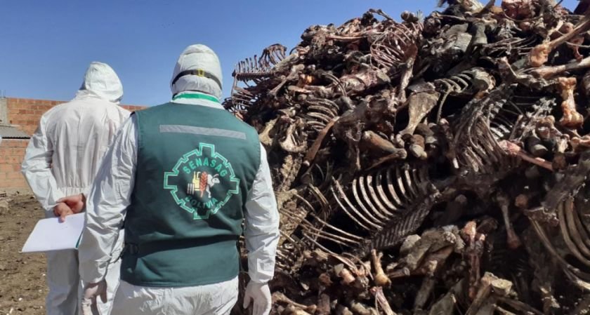 Clausura de mataderos clandestinos de faeneo de carne equina