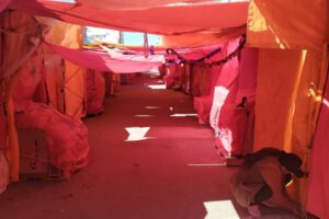 Feria de Todos Santos cerrada por la marcha por la democracia