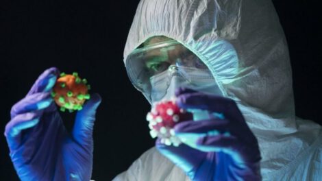Cepa brasileña y problemas gastrointestinales
