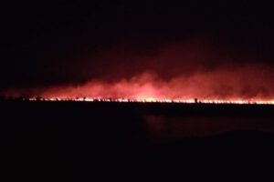 Incendio Parque Nacional Otuquis