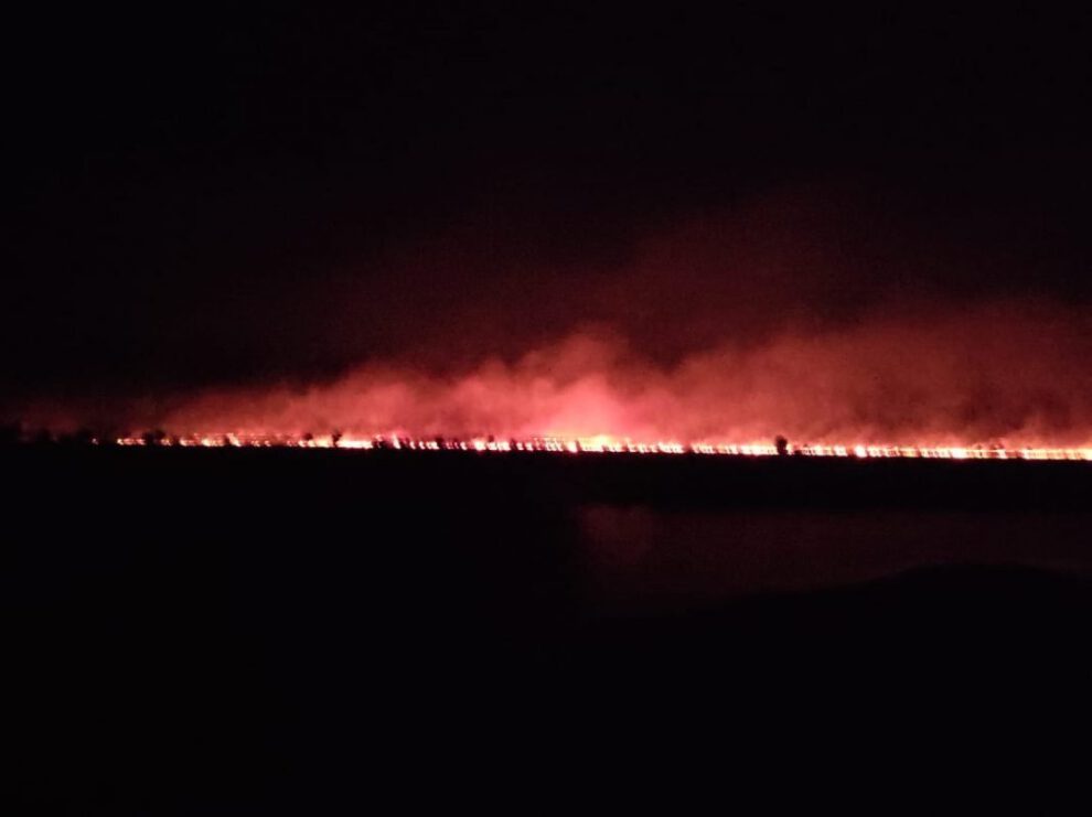 Incendio Parque Nacional Otuquis