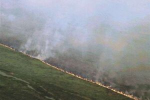 Incendio Parque Otuquis consume 1200 hectáreas
