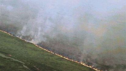 Incendio Parque Otuquis consume 1200 hectáreas