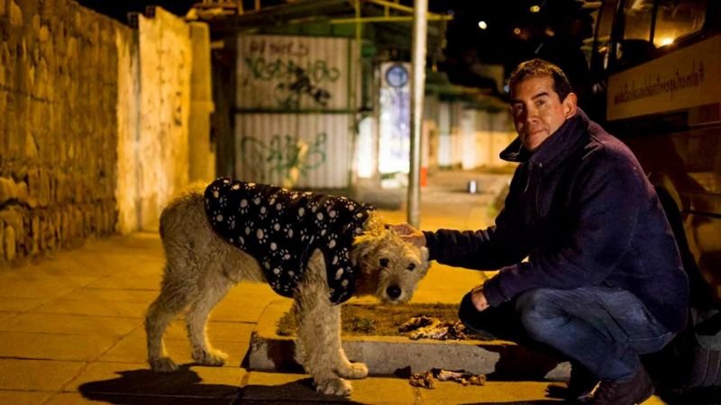 Fernando Kushner, defensor de los animales en La Paz