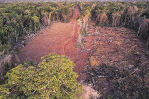 Avasallamiento de tierras en la región chiquitana