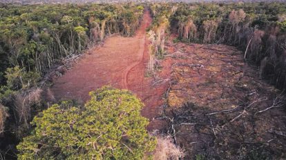 Avasallamiento de tierras en la región chiquitana