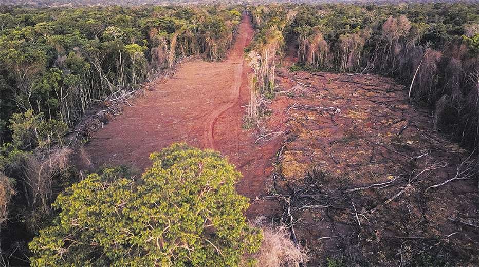 Avasallamiento de tierras en la región chiquitana