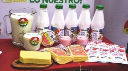 Crisis del sector lechero en Bolivia