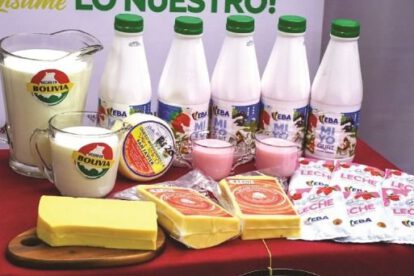 Crisis del sector lechero en Bolivia