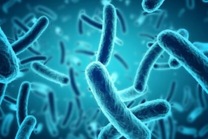 Imagen referencial de súper bacterias