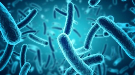 Imagen referencial de súper bacterias