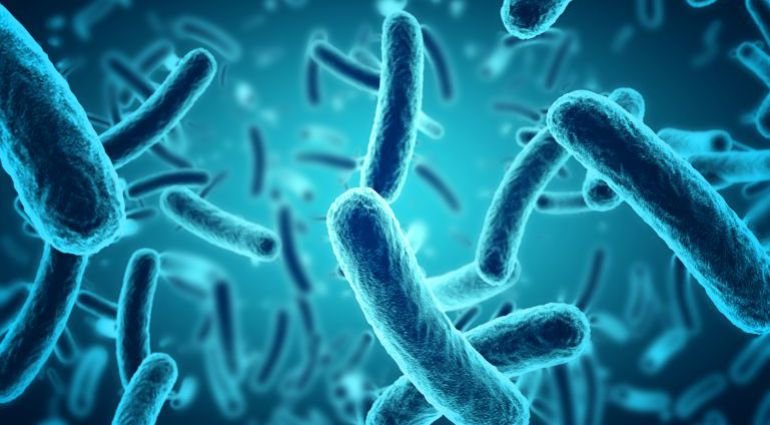 Imagen referencial de súper bacterias