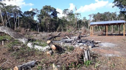 Avasallamiento de tierras en la reserva forestal Bajo Paraguá
