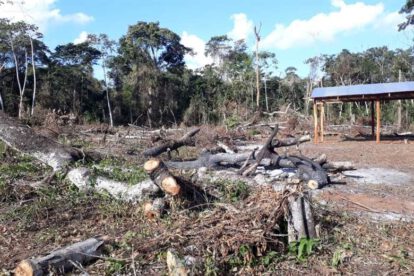 Avasallamiento de tierras en la reserva forestal Bajo Paraguá