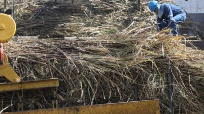 Cloruro de potasio para mejorar la producción agrícola