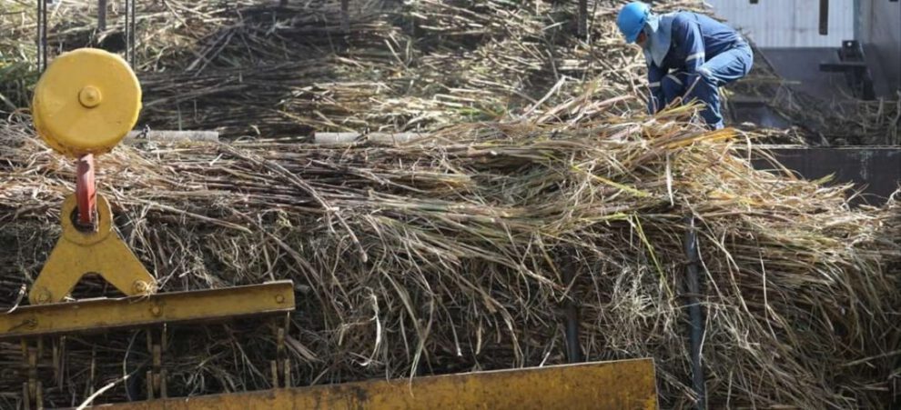 Cloruro de potasio para mejorar la producción agrícola